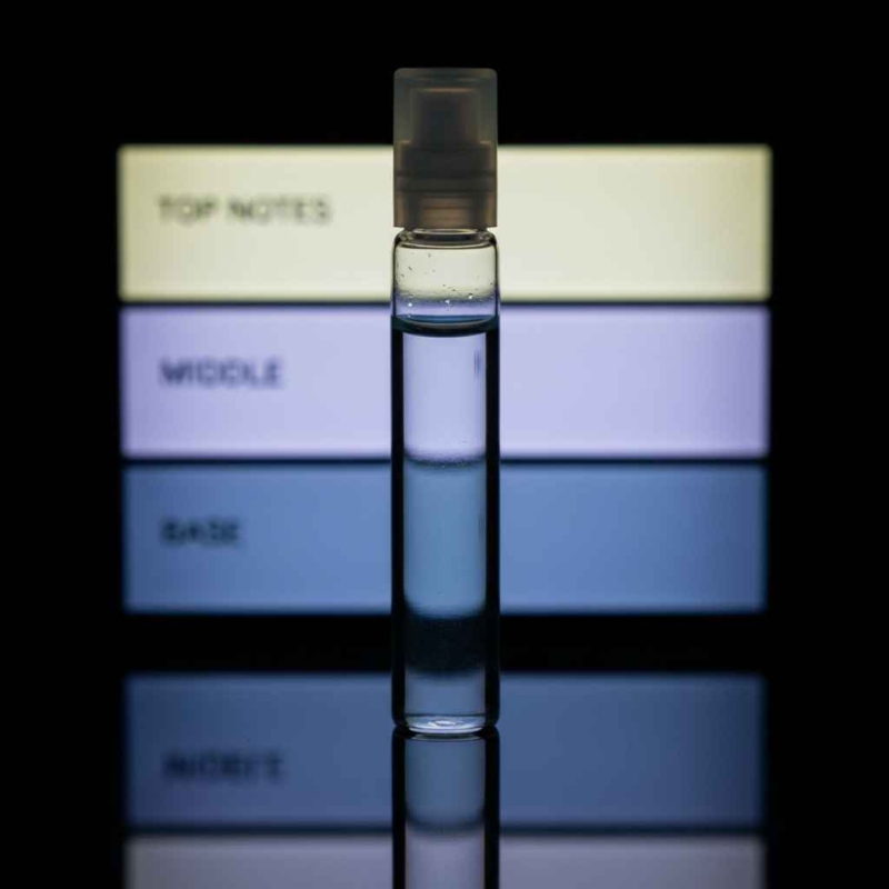 Set nước hoa mini và ống vial đại diện cho khái niệm Olfactory Discovery